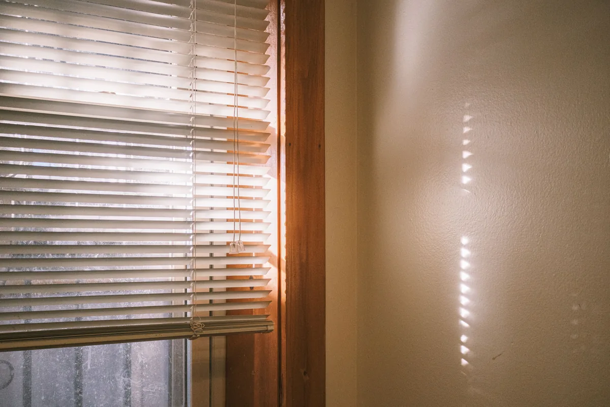 Warm sunlight casting shadows through timber venetian blind slats
