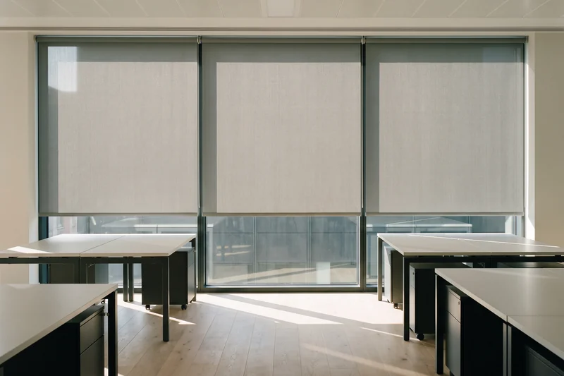 Sunscreen roller blinds lowered across a wall of office glazing with low morning sun across the desks