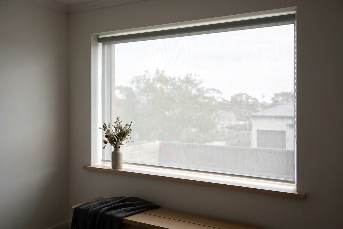 A sunscreen roller blind filtering bright daylight while keeping the view