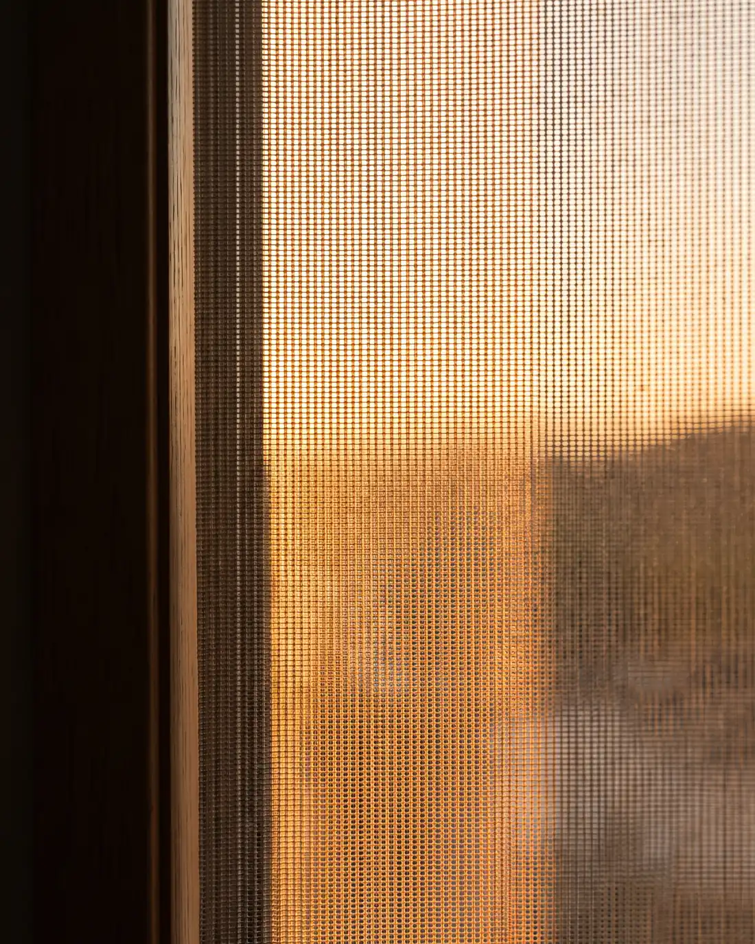 Sunscreen blind fabric backlit by a low evening sun, the open weave visible